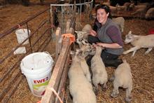 Self-employed shepherdess Amy Collins