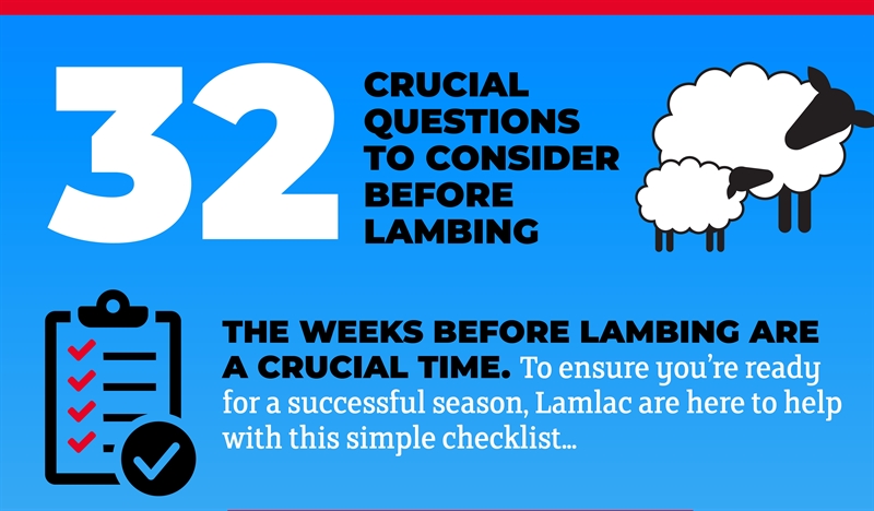 32 key points to help you prepare for a successful lambing season