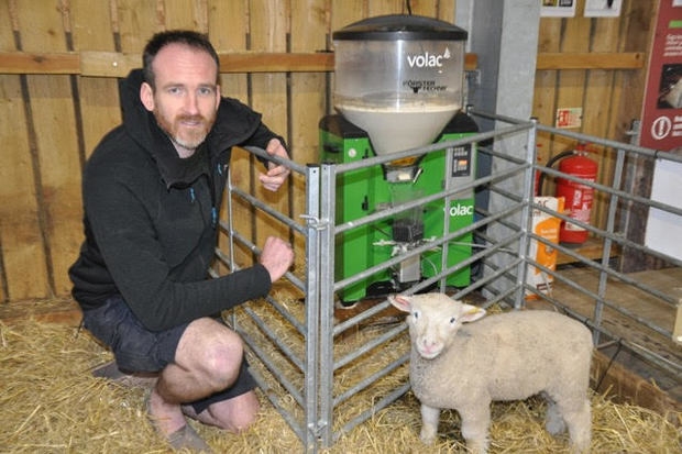 Rearing lambs in the public eye