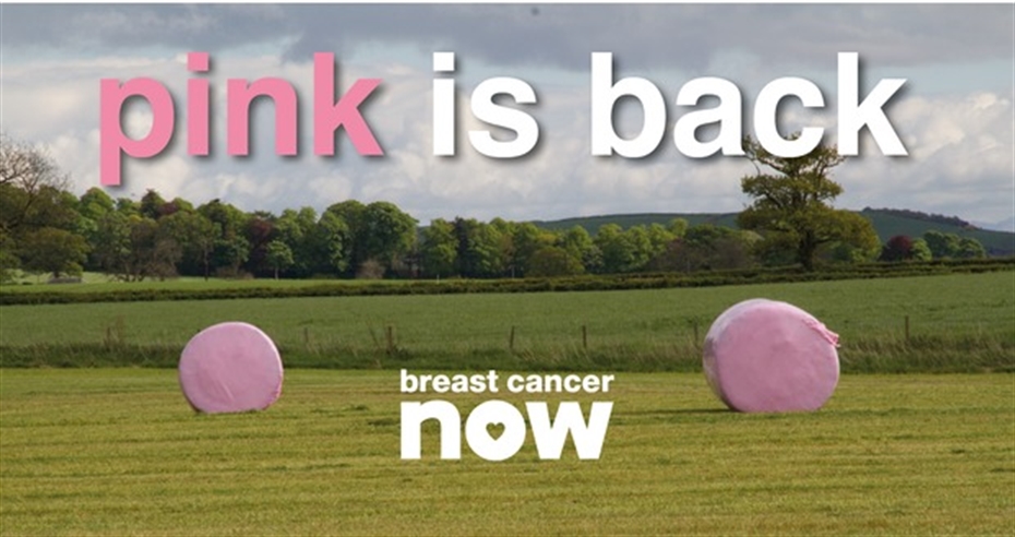 Wrap it pink this season for breast cancer research