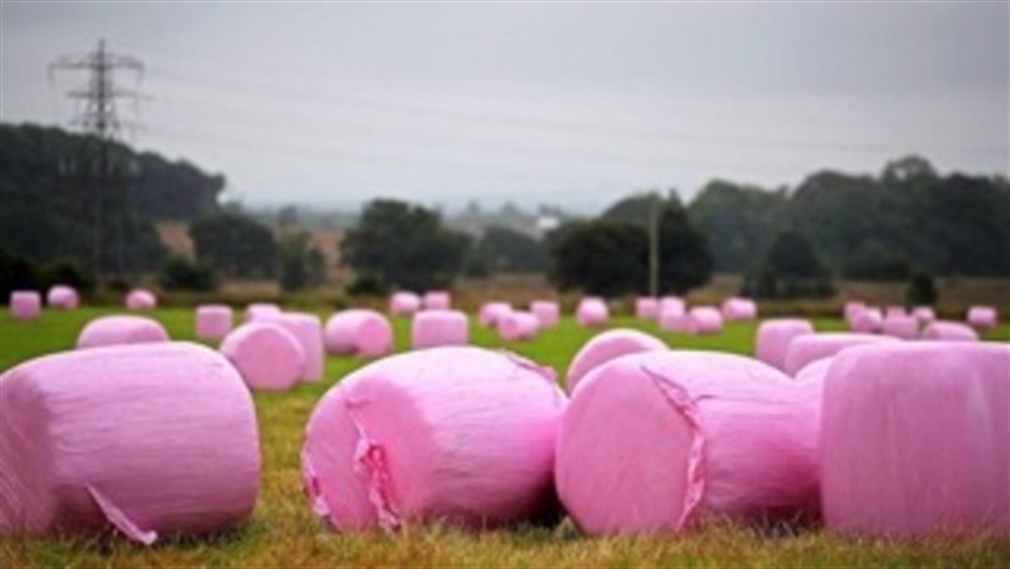 Charity pink bales campaign smashes last year’s total